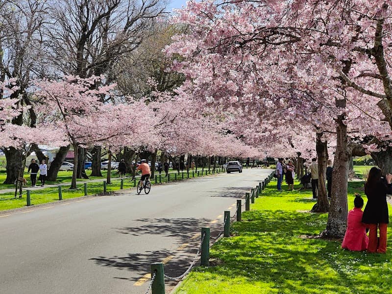 The Victoria Esplanade - Image 2