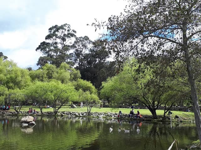 El Paraíso Park - Image 2