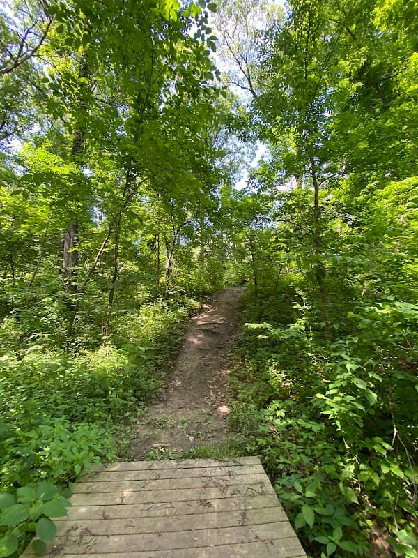 Phipps Prairie Park - Image 2