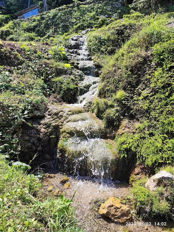 Kakinohana Spring - Image 2