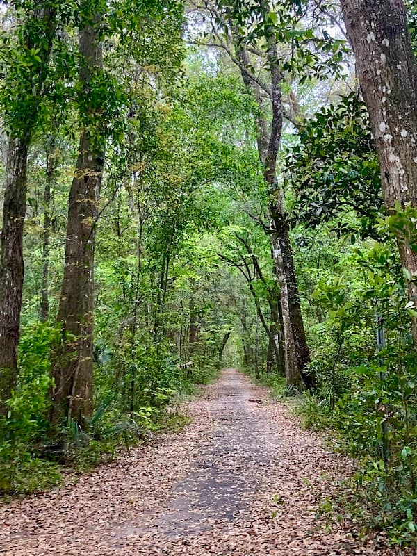 Black Creek Park and Trail - Image 2