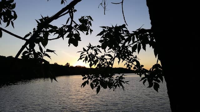 Hoffman Park - Image 2