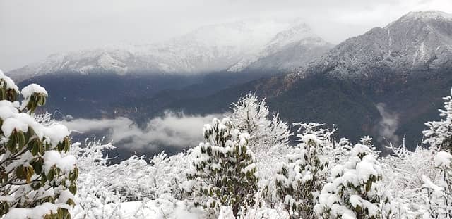 Poon hill view Tower - Image 3