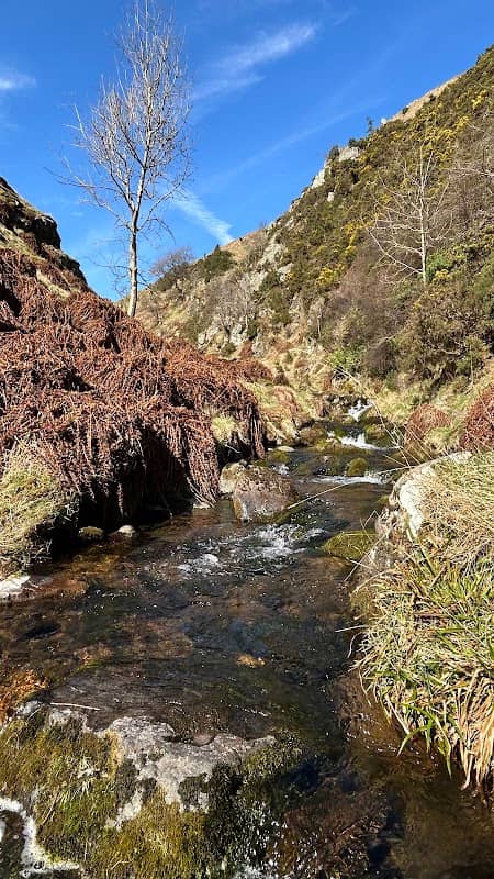 Tillicoultry Bridge - Image 1