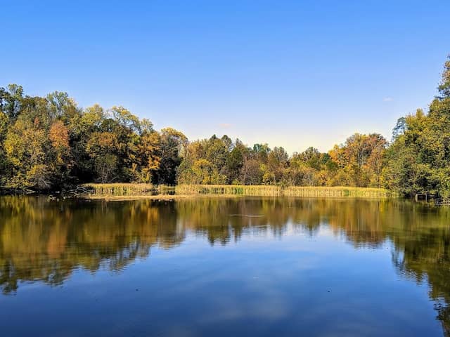 Putney's Pond and Woodlands Park - Image 1