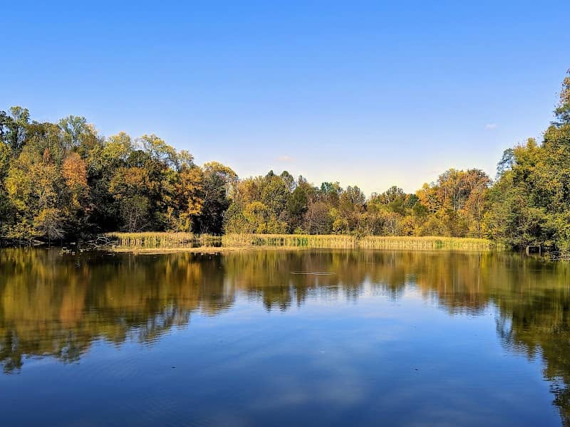 Putney's Pond and Woodlands Park - Image 1