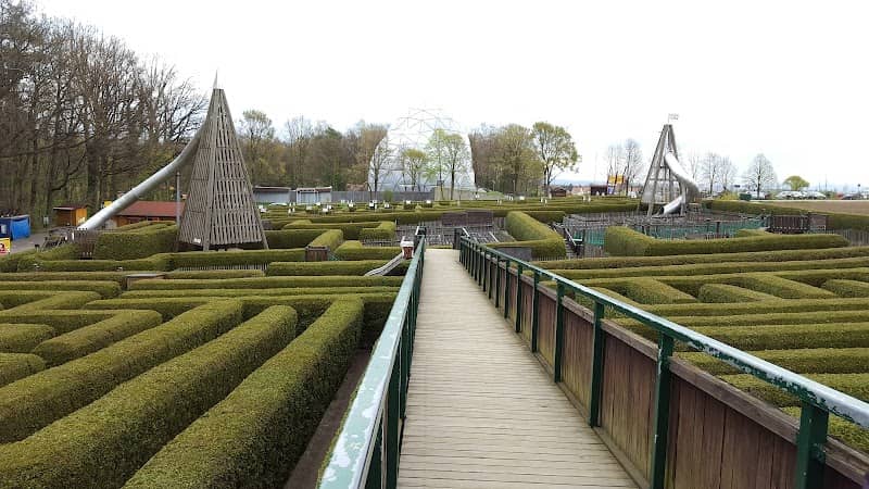Hedge Maze - Image 1