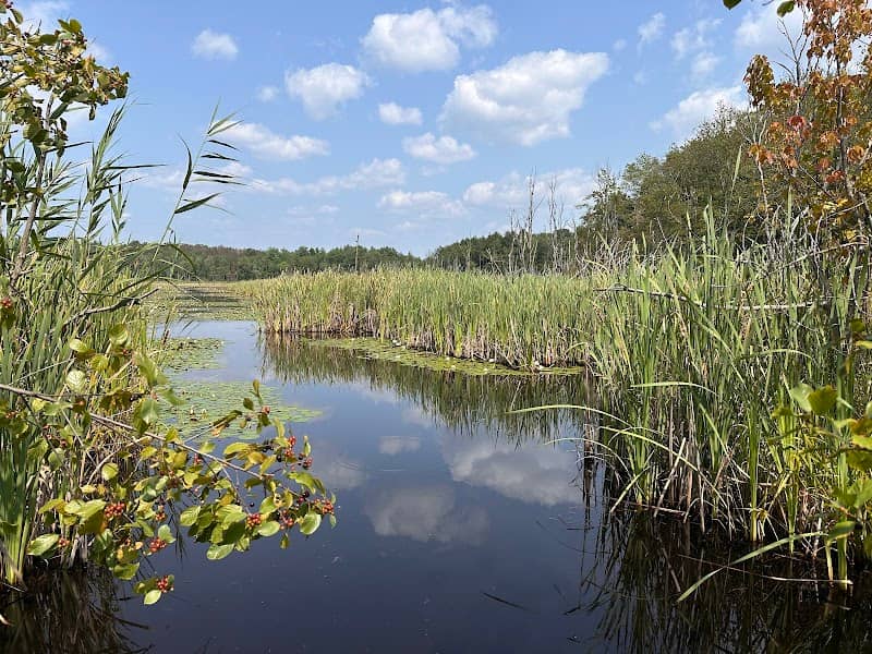 High Ridge Wildlife Management Area - Image 2