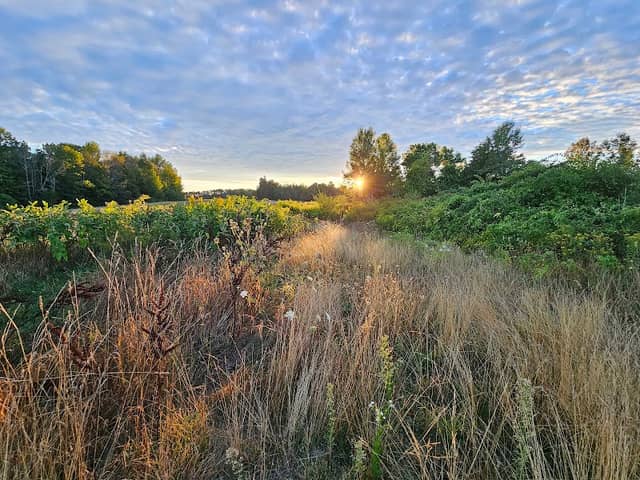 High Ridge Wildlife Management Area - Image 1