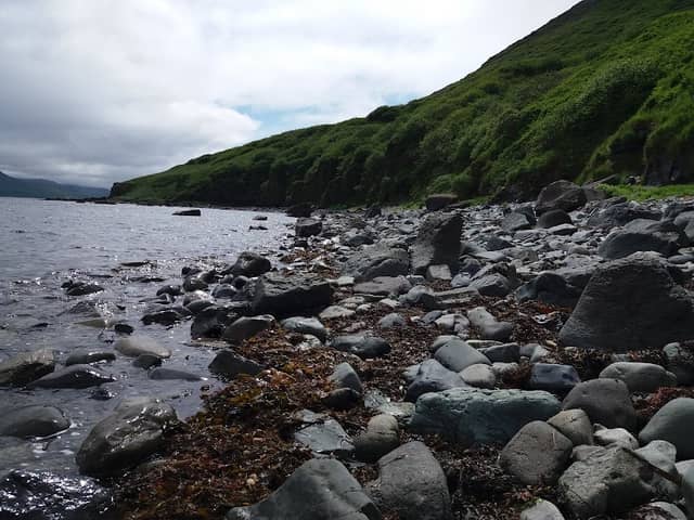 Morgan's Point Hike - Image 1