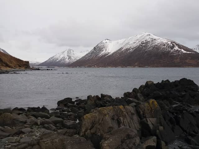 Morgan's Point Hike - Image 2