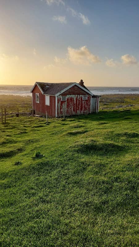 Grødalandskogen - Image 1