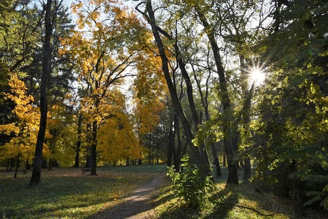 Zámocký park Grófa Aspremont - Image 3