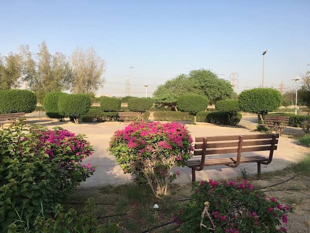 Public Park - Image 1