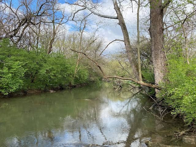 Morgan Park - Image 1