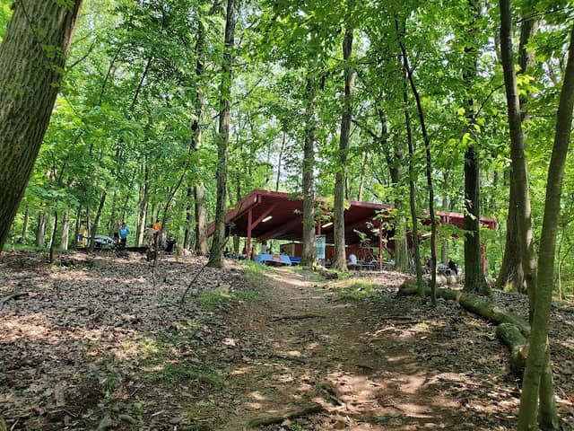 Todt Hill Woodlands - Image 1