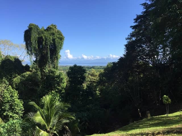 Finca Cañaza - Image 1