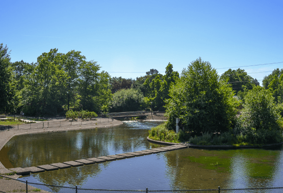 Alton Baker Park - Image 1