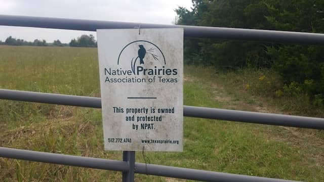 Mary Talbot Prairie - Image 1
