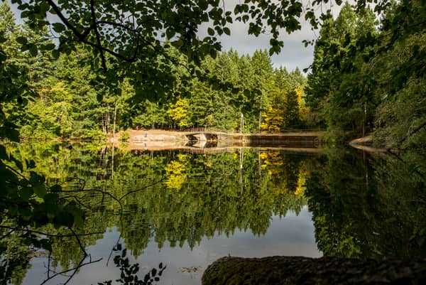 Colliery Dam Park - Image 1