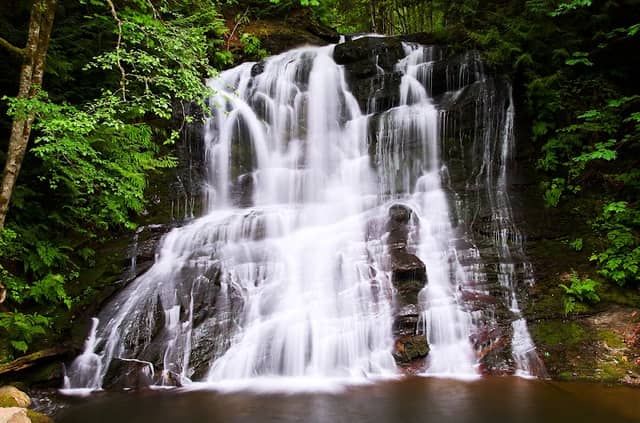 Colliery Dam Park - Image 2
