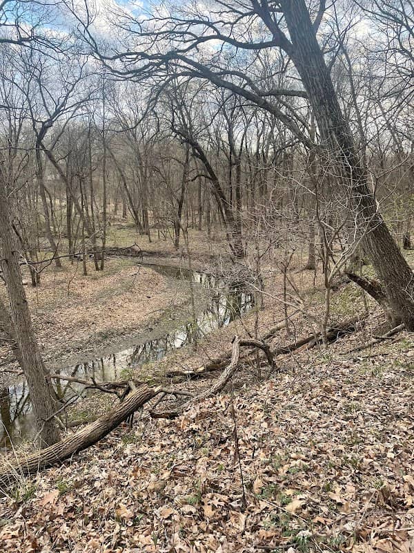 Munn Woods Trail Access - Hickory - Image 2