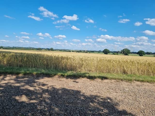 Attleborough Fields Walk - Image 1