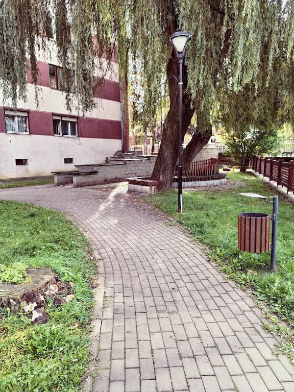 Ívelt építészeti fa pad - Image 1