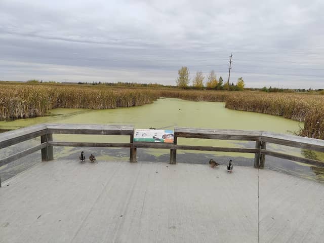 John E. Poole Wetlands - Image 1