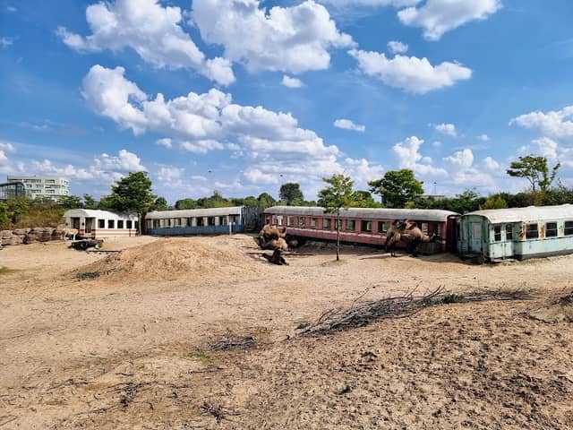 Ontspoorde trein - Image 2