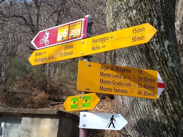 Sentiero del Castagno - Malcantone - Image 1