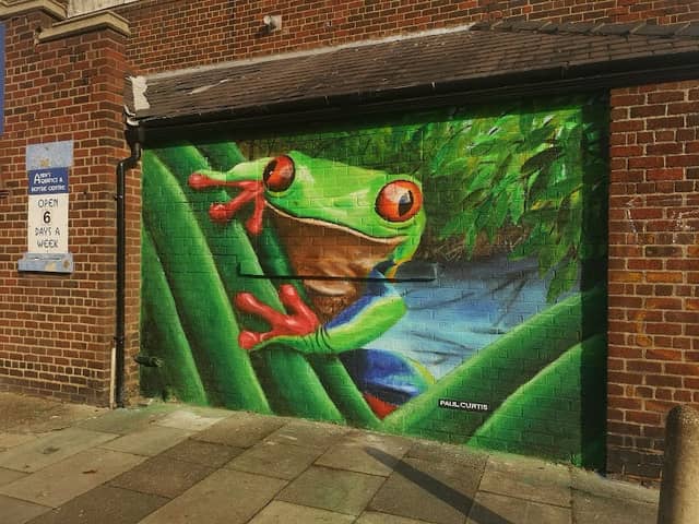 Ferry Frog by Paul Curtis - Image 2