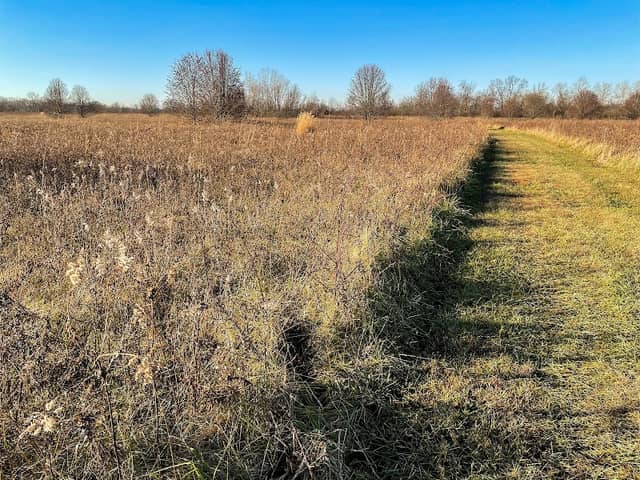 Wilhelmina Park - Image 2