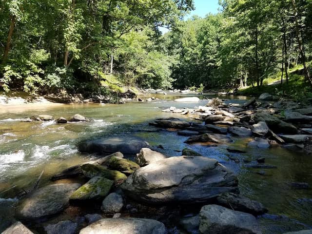 Patapsco Valley State Park- McKeldin Area - Image 1