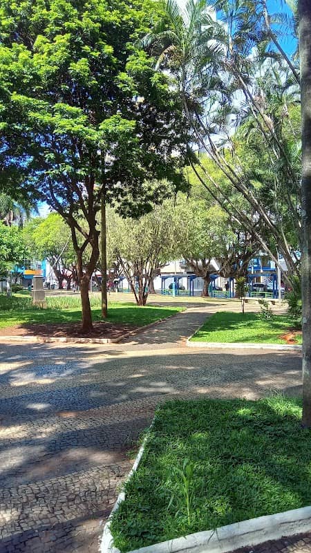 Região Central de Uberlândia (MG) - Image 1
