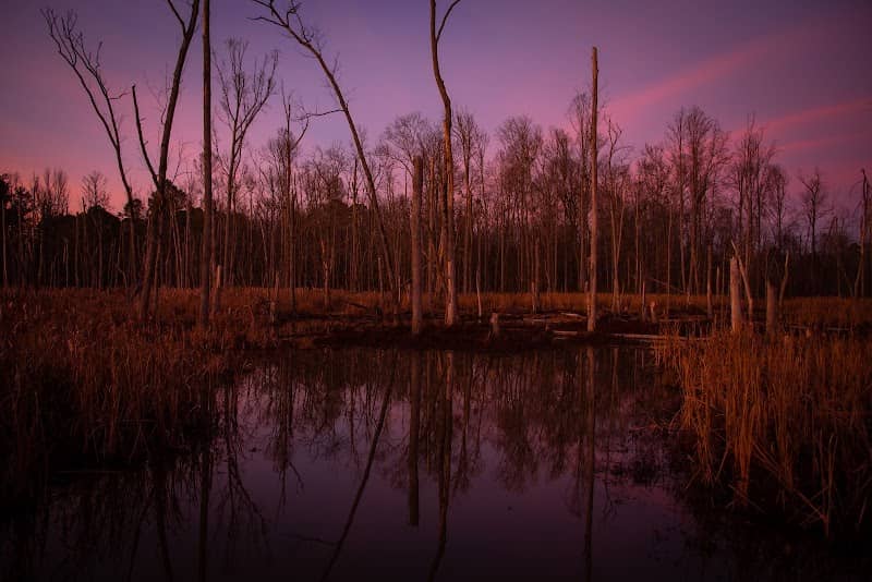 White Oak Creek Greenway - Image 1