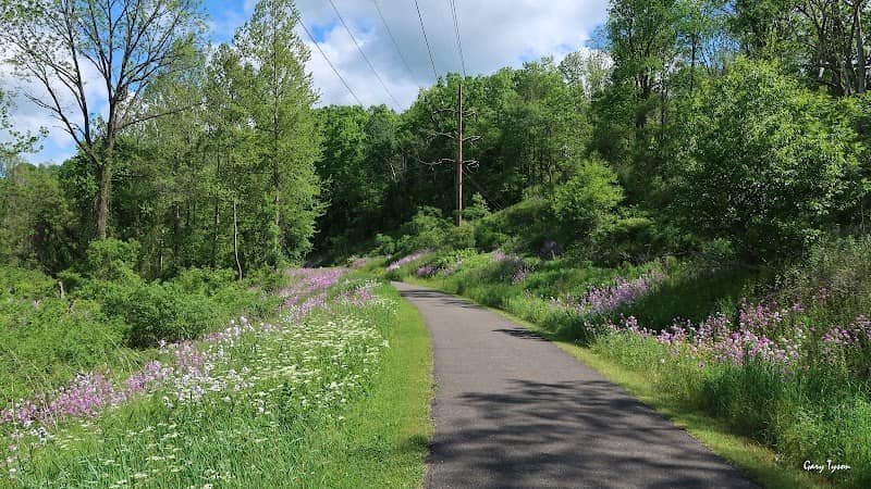 Lamb's Creek Bike and Hike Trail (Mansfield Access) - Image 1