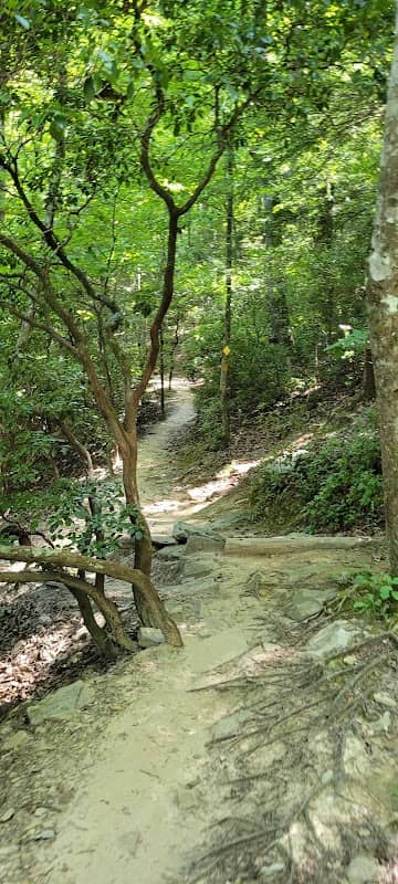 W Rim Trail Cave - Image 2
