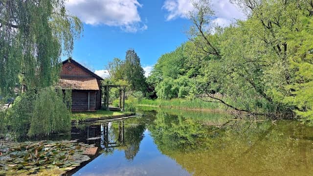 Saunderton Pond - Image 1