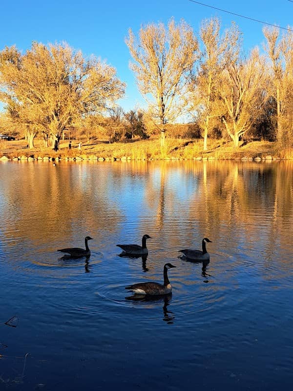 Fountain Creek Regional Park Pond - Image 1