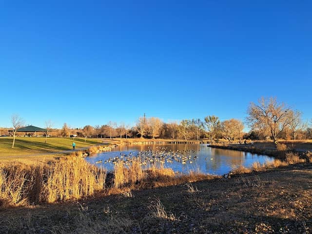 Fountain Creek Regional Park Pond - Image 2