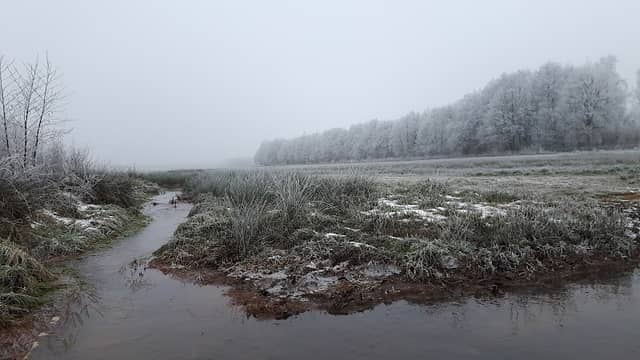 Natuurgebied Kortebroek - Image 1