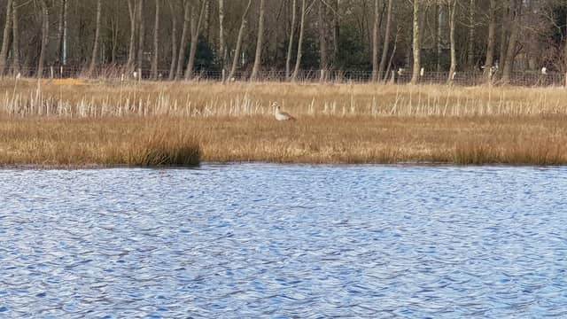 Natuurgebied Kortebroek - Image 2