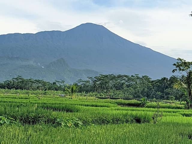Lokasi healing the best and forever - Image 1