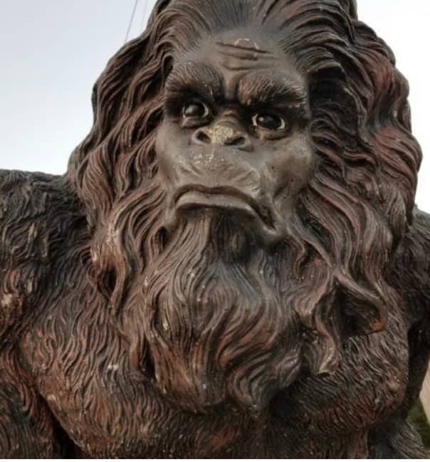 Casa De Sasquatch - Image 2