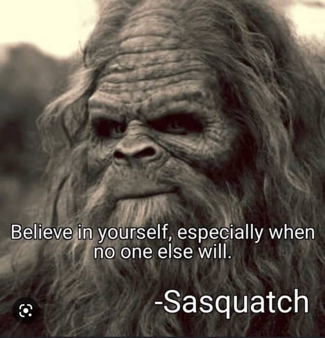Casa De Sasquatch - Image 1
