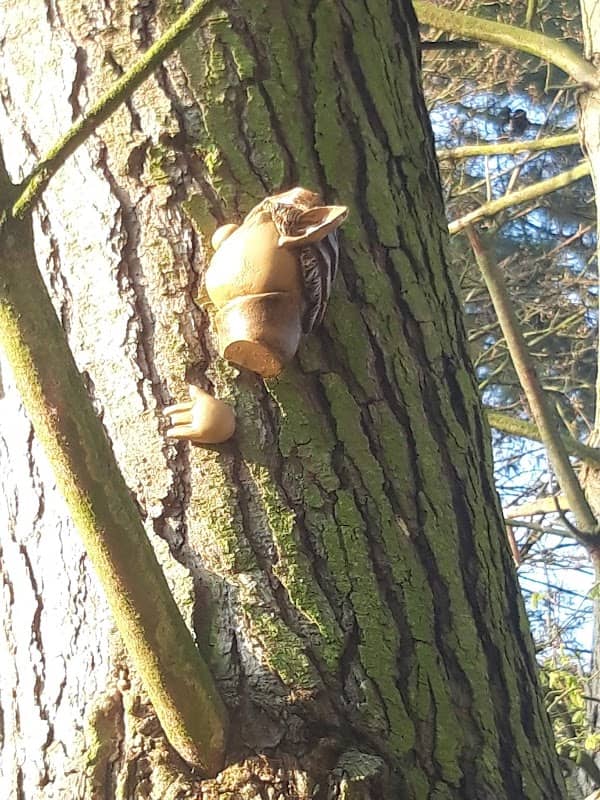 Wandon Park - Image 3