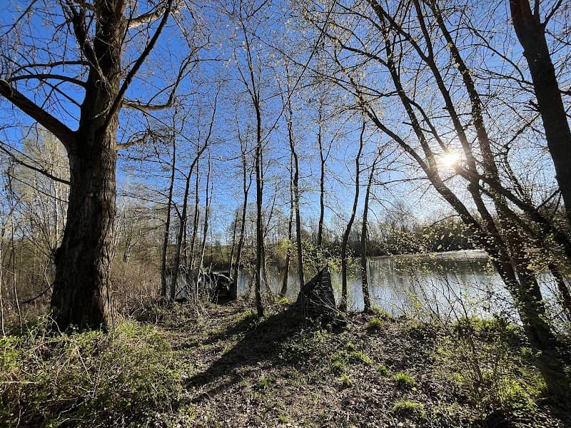 Lago degli Aironi - Image 1