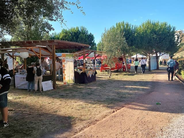 Parque Verde - Image 1
