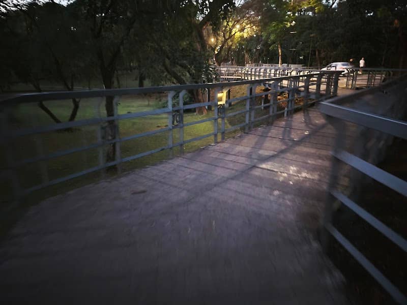 Tau Alpha Legacy Boardwalk - Image 2